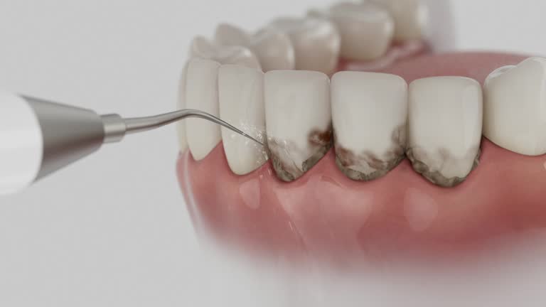 Reliable Dental contractor in Dawsonville, GA by Dentist Open Now